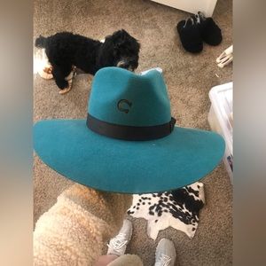 Charlie 1 horse hat